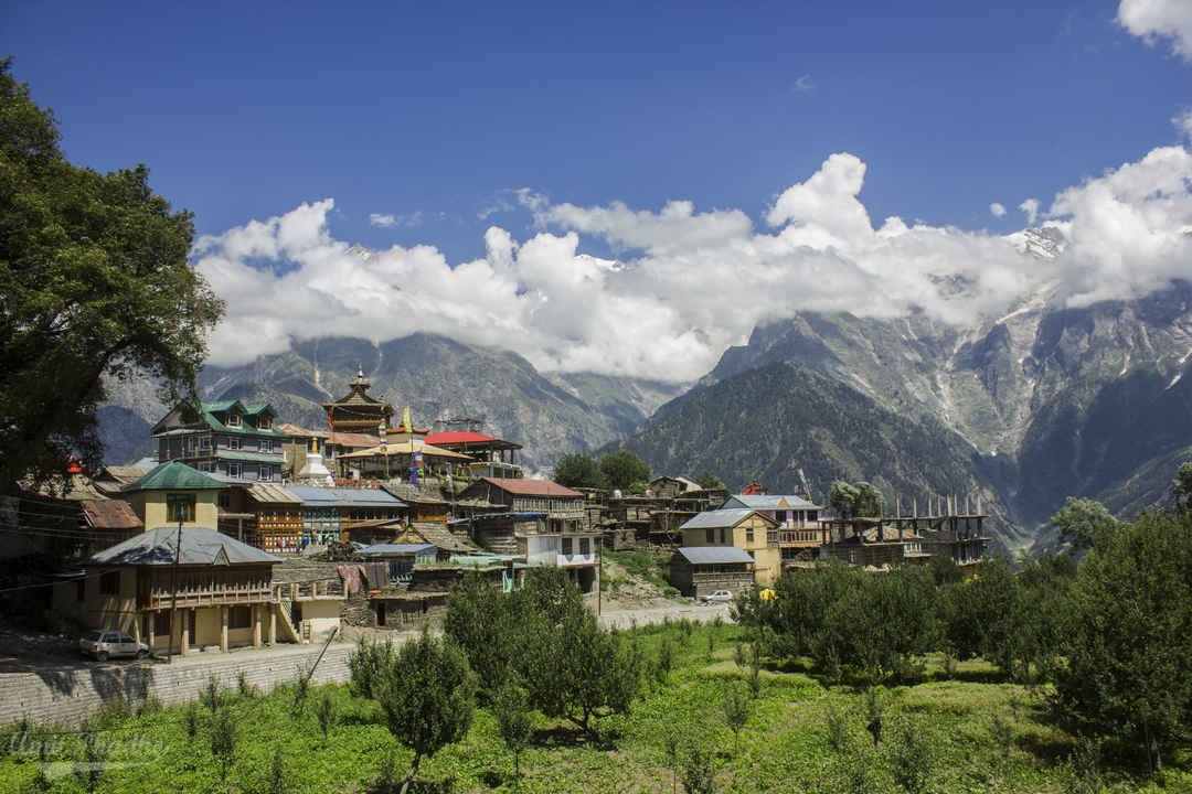 Narkanda – Sangla – Chitkul – Kalpa Package